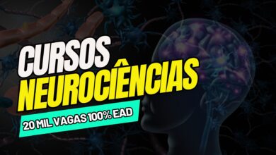 A Universidade de São Paulo - USP abre inscrições para 2 Cursos de Neurociências com 20 mil vagas GRATUITAS e EAD para 2024. Confira aqui!