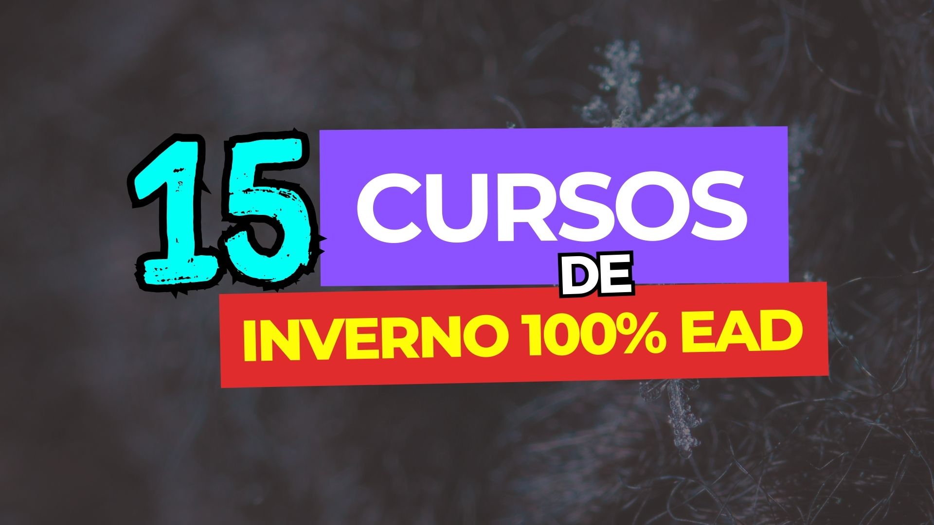 Inscreva-se em 15 Cursos 100% EAD de Inverno da USP! Aproveite agosto para ampliar seus conhecimentos e transformar sua carreira.