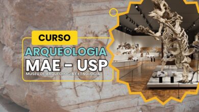 Garanta uma das 1200 vagas em 3 cursos EAD gratuitos do Museu de Arqueologia e Etnologia da USP. Receba certificado reconhecido no BRASIL!