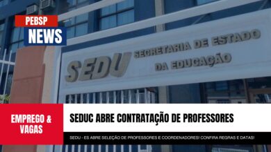 Processo seletivo ES: Vagas e Emprego para professores de Contratação da SEDUC - ES. Inscrições até 04/10. Confira!