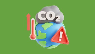 Curso gratuito de Educação Ambiental e Justiça Climática do IFRN abre 550 vagas 10% Gratuitas. Inscrições encerram em 3 dias!