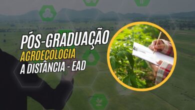 IFRR: Inscrições abertas para pós-graduação EaD em Agroecologia e Educação do Campo. 35 vagas! Inscreva-se já!