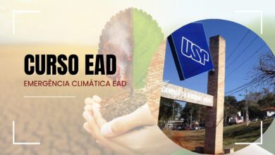 USP abre 500 vagas inéditas e gratuitas para um curso com tema em alta: Arte e Emergência Climática! Estude de Casa e Conquiste um DIPLOMA!