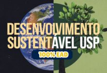 Inscrições Abertas: Curso Gratuito da USP Conecta Qualidade do Ar e os Objetivos do Desenvolvimento Sustentável