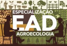 Instituto Federal de Roraima - IFRR abre inscrições para Especialização e Pós-graduação EAD em Agroecologia e Educação do Campo