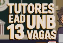 Inscrições abertas para tutores a distância na UnB! Seja um bolsista no curso de Especialização em Contabilidade em 2025!