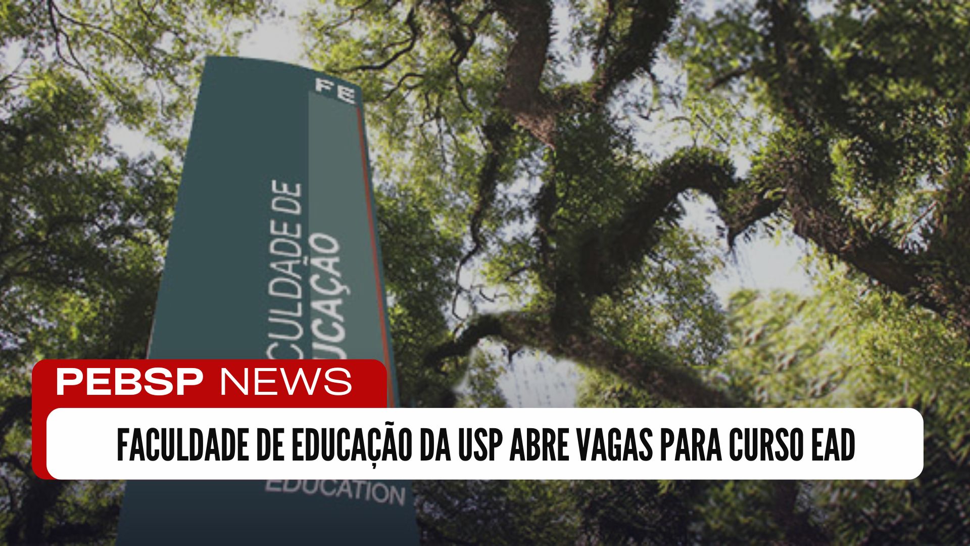 Faculdade de Educação da Universidade de São Paulo - FE USP anuncia inscrições para Curso Gratuito e EAD na área da Educação Física!