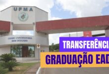 UFMA abre inscrições para transferência em cursos de Graduação EaD. Confira os cursos, prazos e como se inscrever no processo seletivo 2025