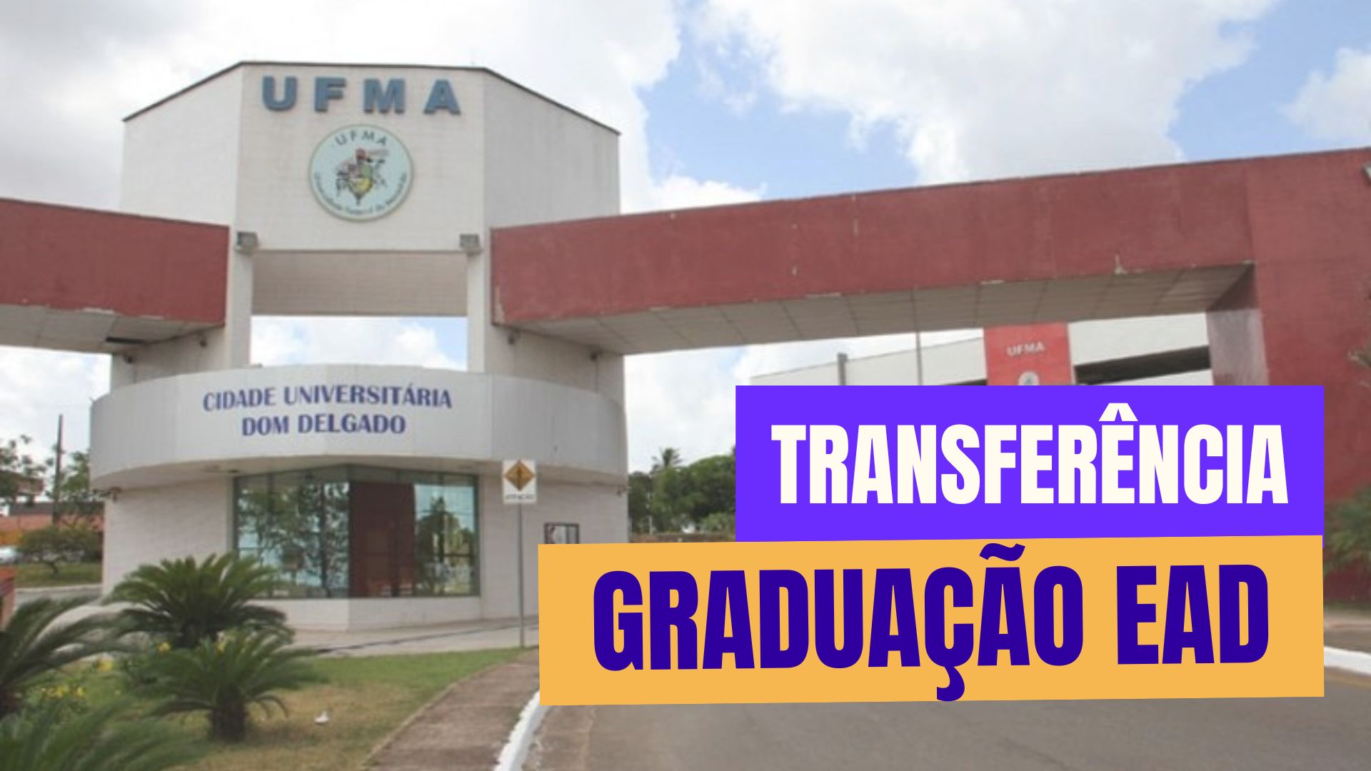 UFMA abre inscrições para transferência em cursos de Graduação EaD. Confira os cursos, prazos e como se inscrever no processo seletivo 2025