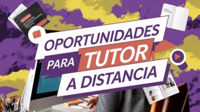 Edital UEMA: Seja tutor EAD em Educação Inclusiva e ganhe R$1.100! Inscrições abertas até 13/02. Saiba mais e participe!