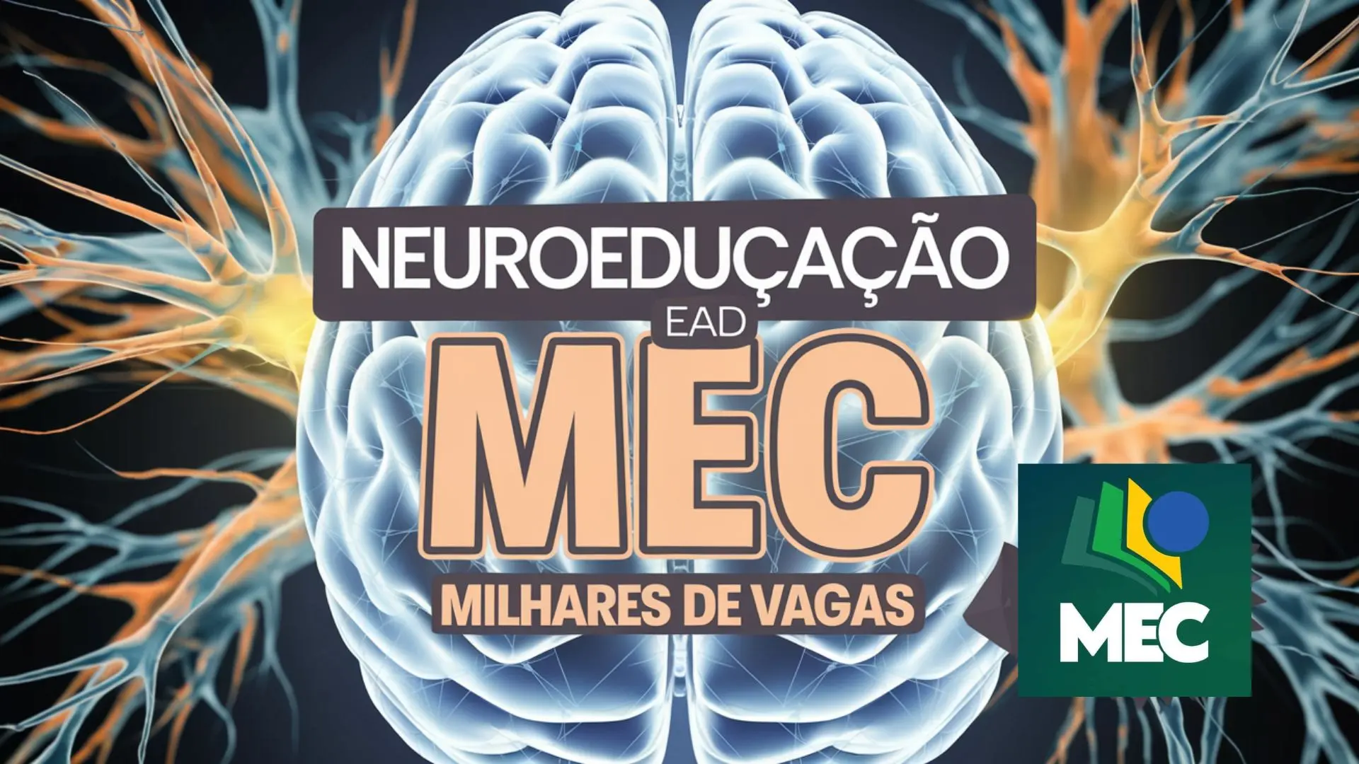 https://avamec.mec.gov.br/#/instituicao/seb/curso/15577/informacoes